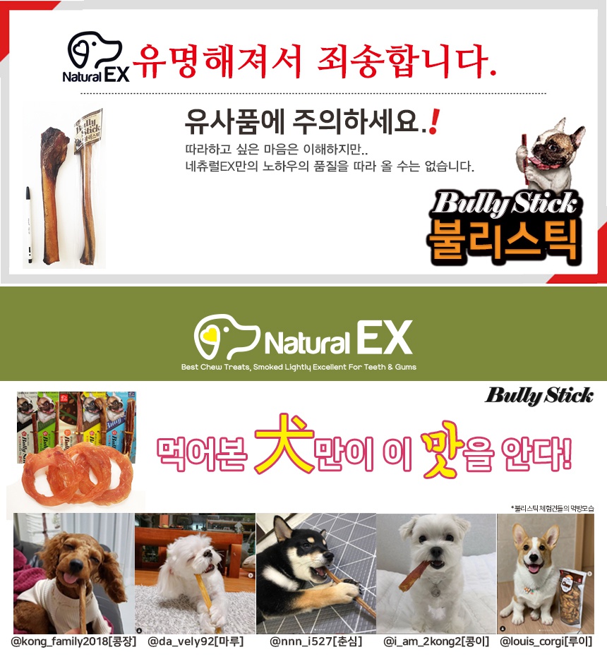 네츄럴이엑스 불리스틱 대형 (1P)-상품이미지-0