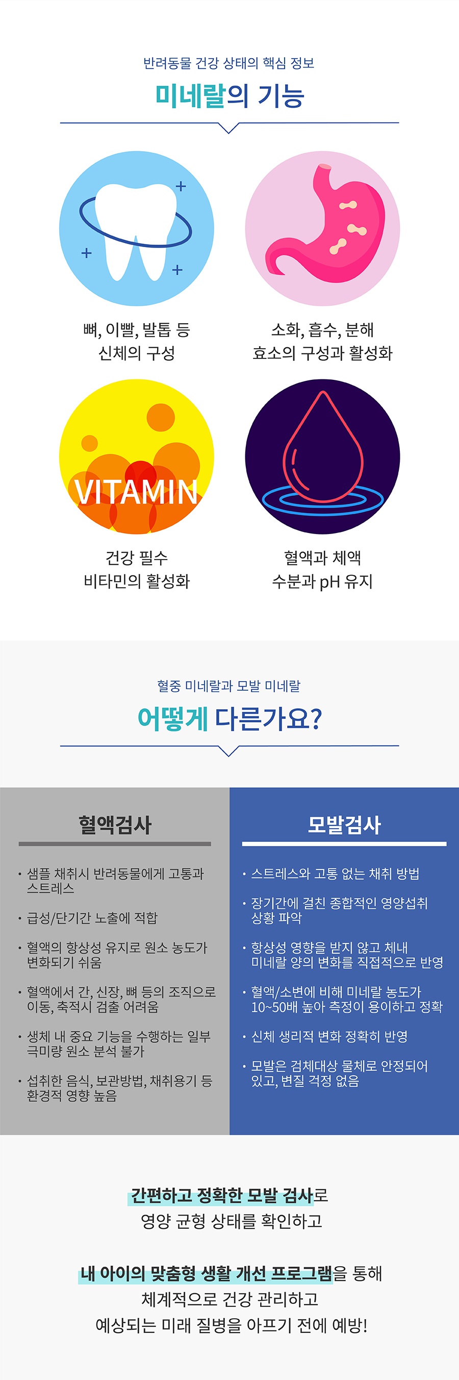 핏펫 어헤드 밸런스 - 모발검사키트-상품이미지-6