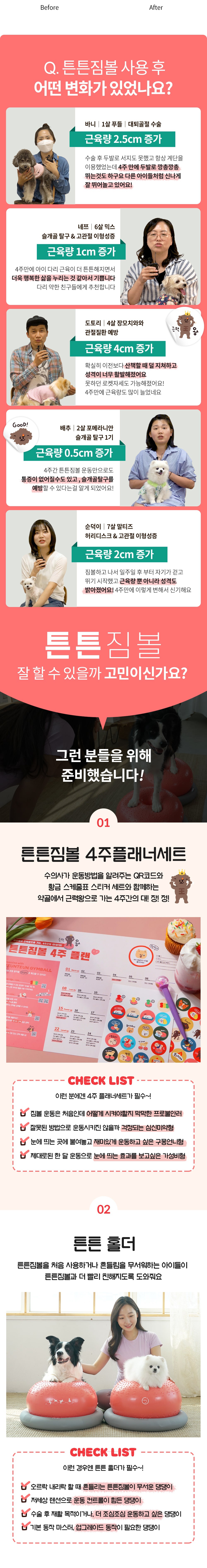 반려견 운동기구 튼튼짐볼+홀더 (단품/세트)-상품이미지-3