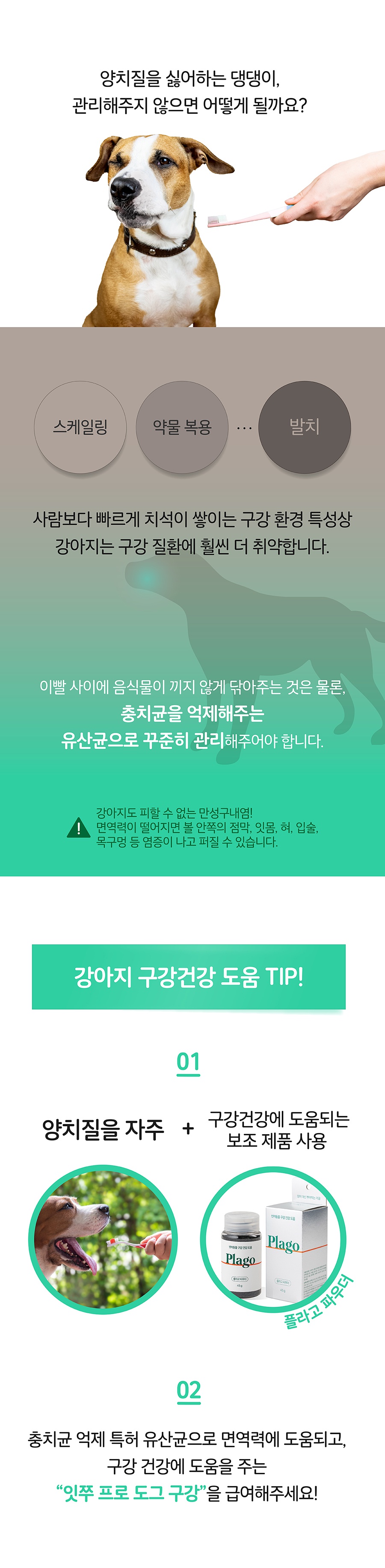 it 잇쭈 프로 도그 구강 대용량 (8개입*4개)-상품이미지-2