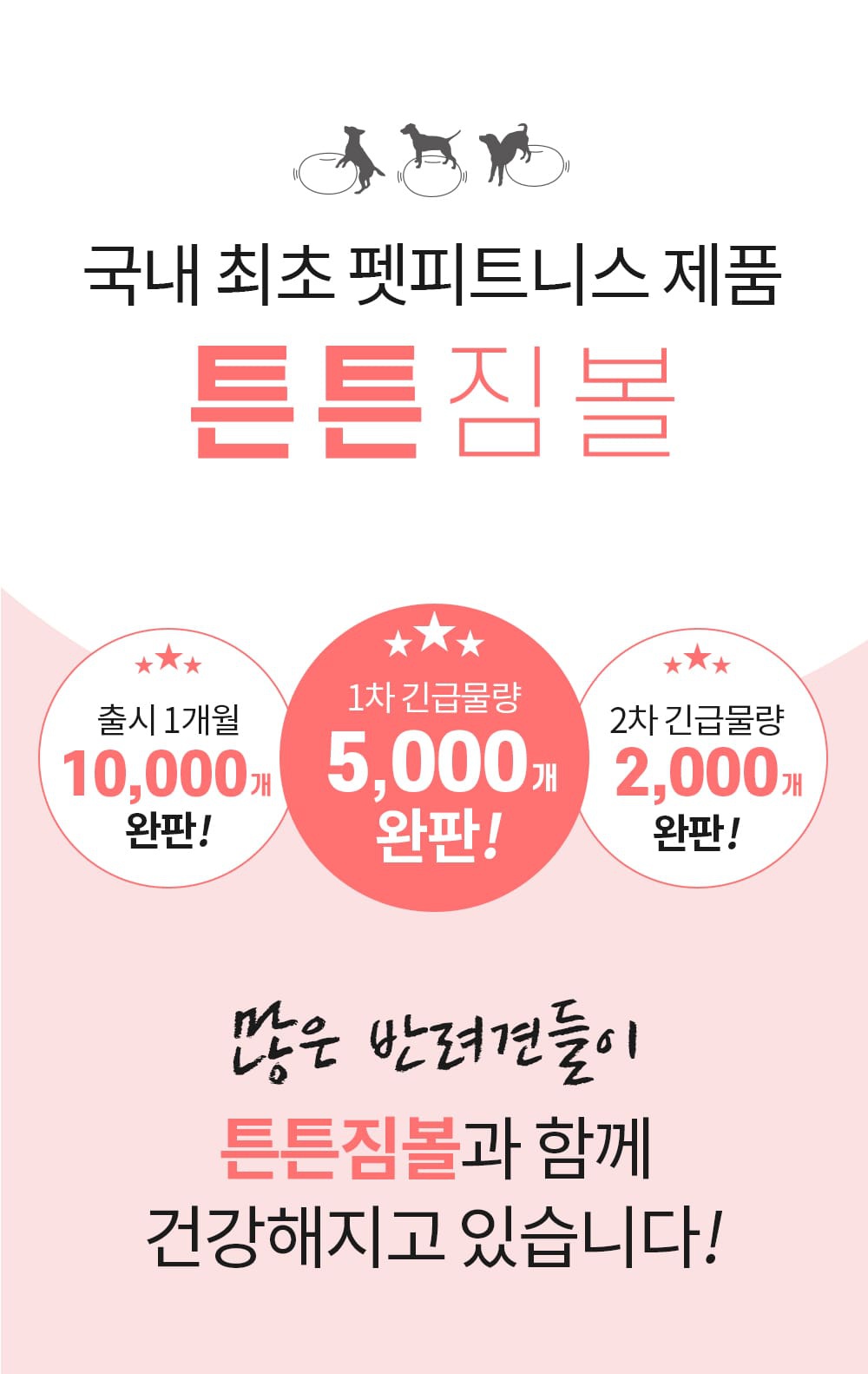 반려견 운동기구 튼튼짐볼+홀더 (단품/세트)-상품이미지-0