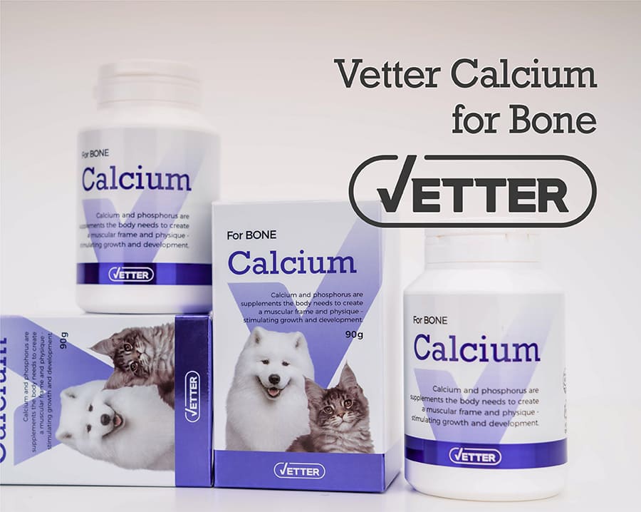 Vetter 댕냥이 영양 파우더 11종 (관절/피부/안정/눈/장/소화)-상품이미지-14